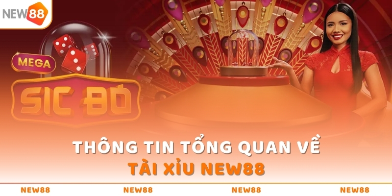 Thông tin tổng quan về Tài Xỉu NEW88